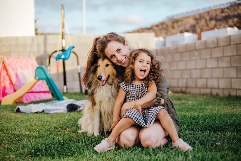 Adoption au Québec